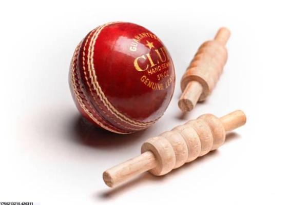 枣庄体育场培训基地最新消息