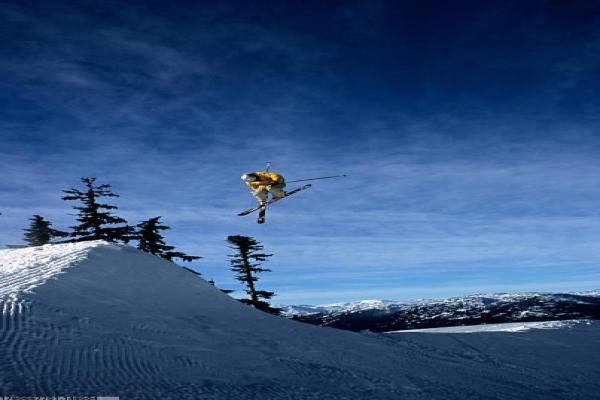 河东区体育场篮球培训班(图1)